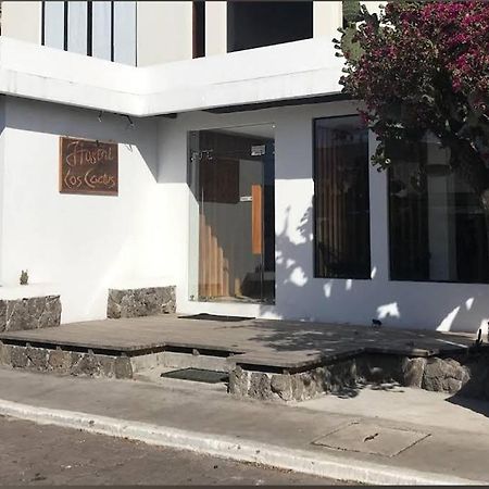 Cactus Hostel Puerto Baquerizo Moreno Εξωτερικό φωτογραφία