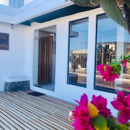 Cactus Hostel Puerto Baquerizo Moreno Εξωτερικό φωτογραφία