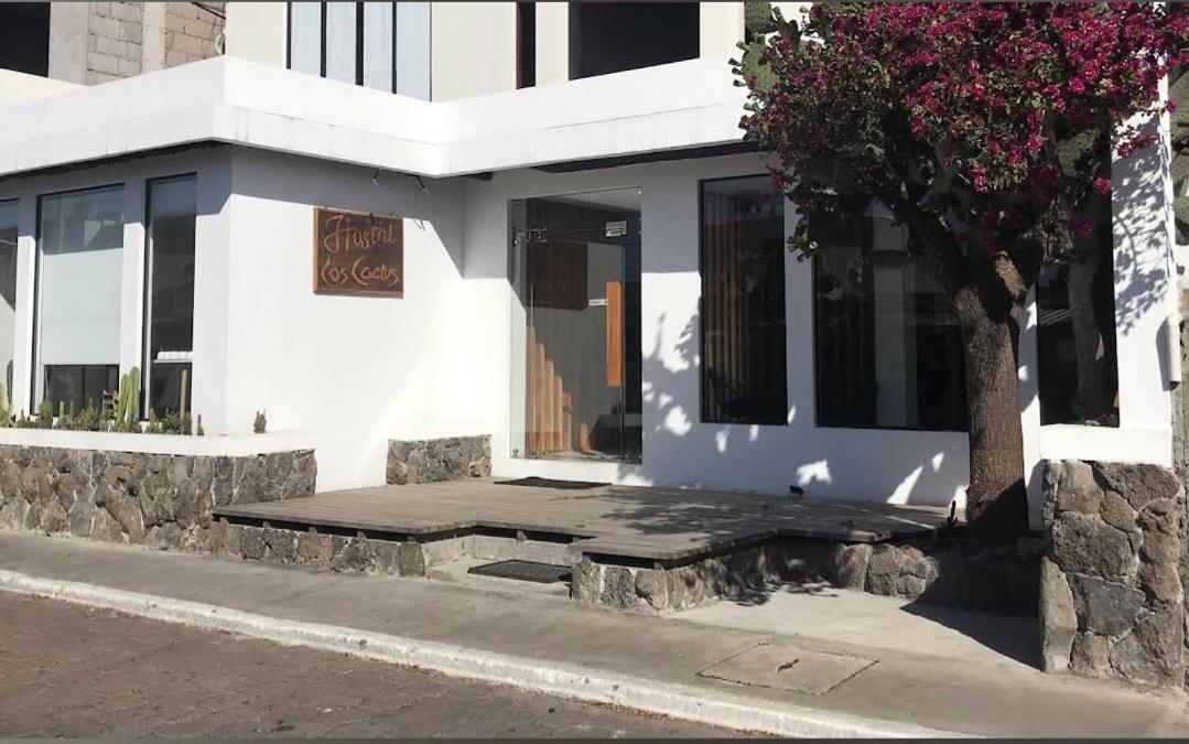 Cactus Hostel Puerto Baquerizo Moreno Εξωτερικό φωτογραφία